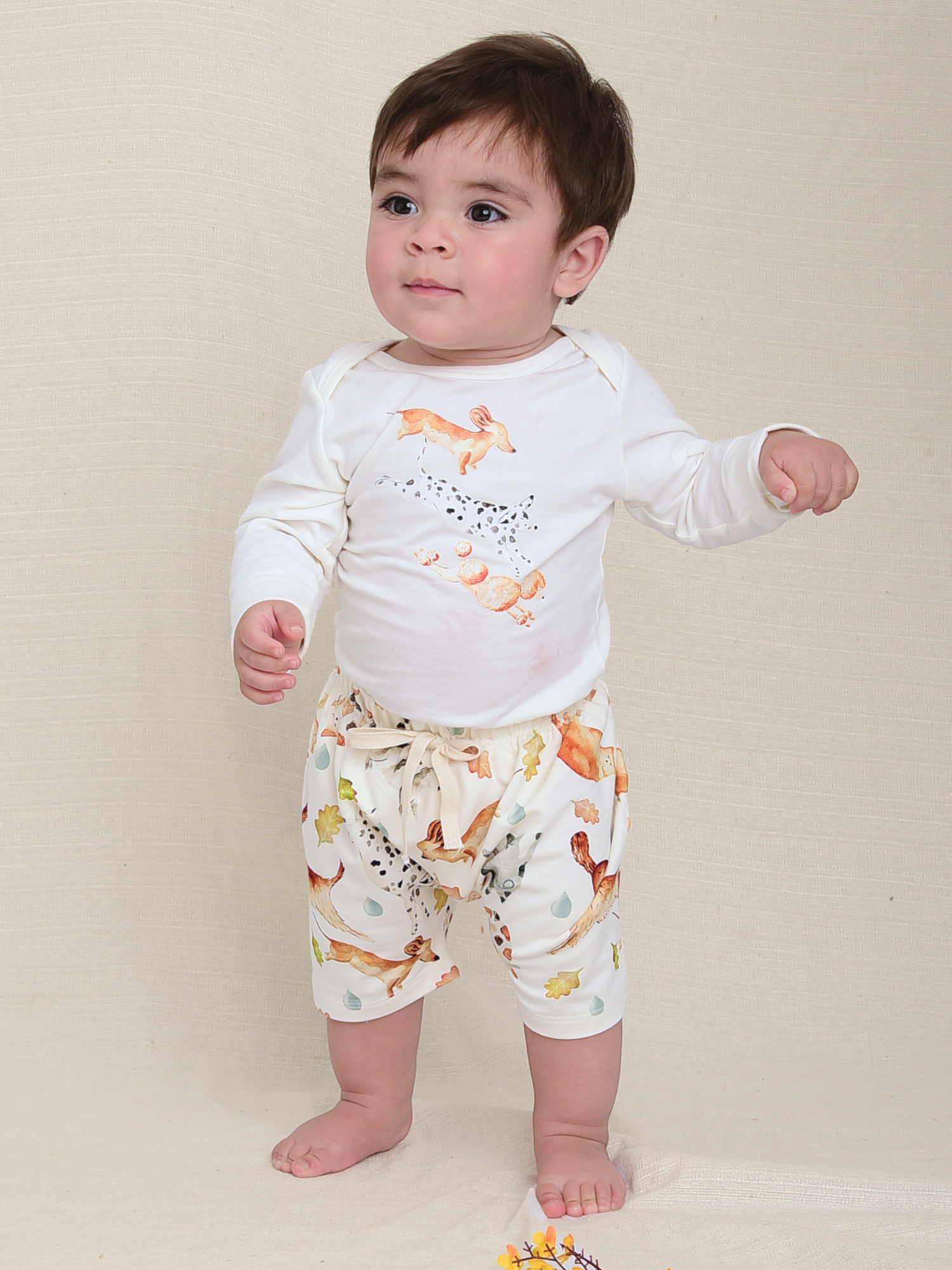 Shorts Infantil Estampa Pets - Loja Minicute