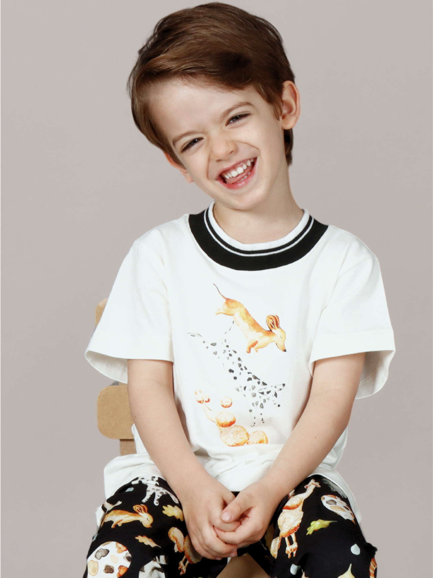 Camiseta Manga Curta Trio Pets - Loja Minicute