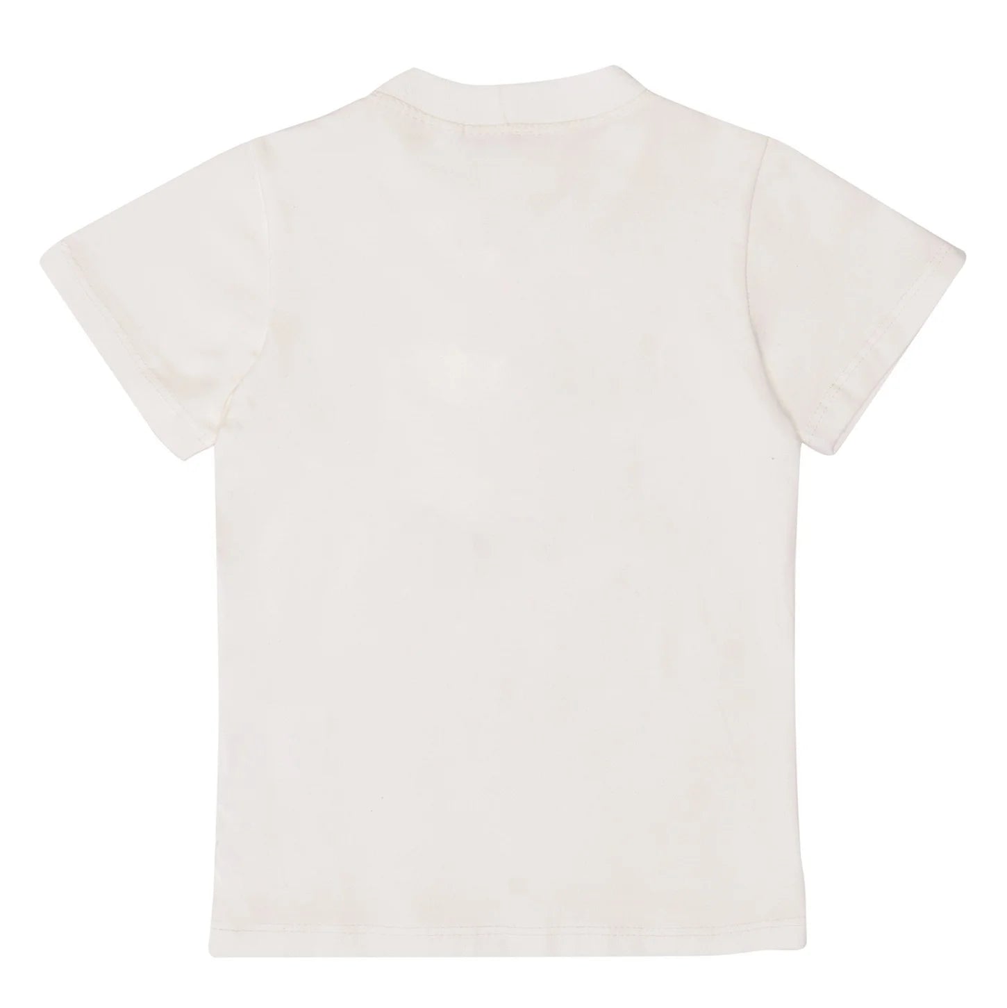Camiseta Infantil Bandinha - Loja Minicute