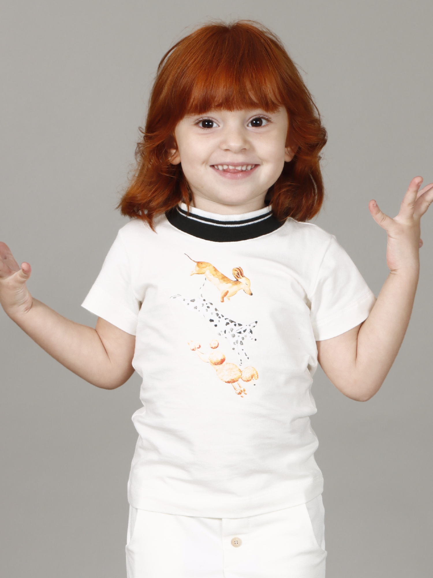 Camiseta Manga Curta Trio Pets - Loja Minicute