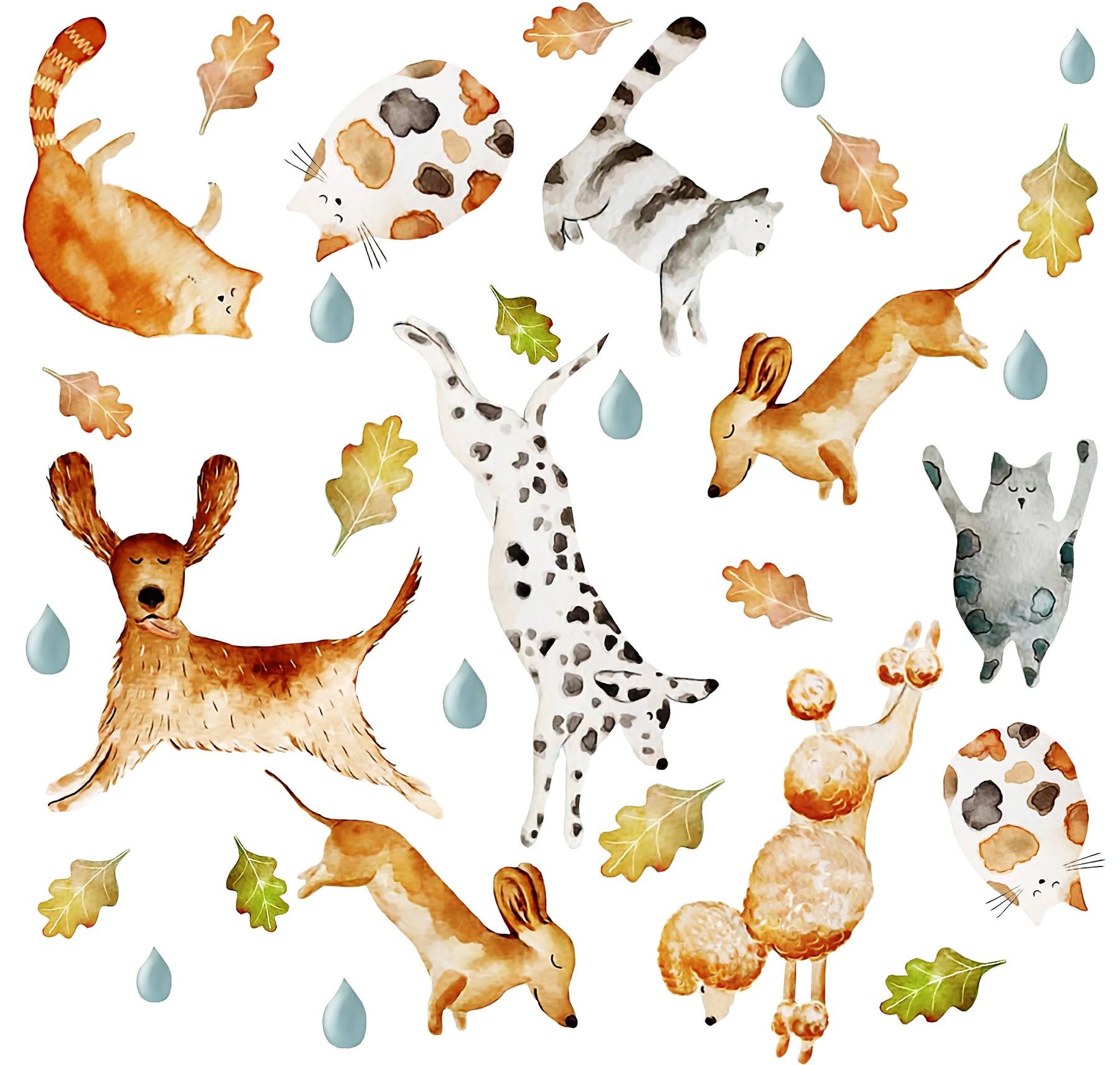 Calça Infantil Estampa Chuva De Pets - Loja Minicute